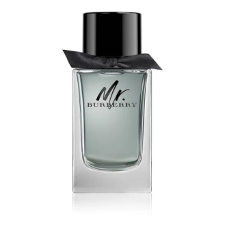 Burberry - Mr. Burberry for Men Eau de Toilette - 100 ml